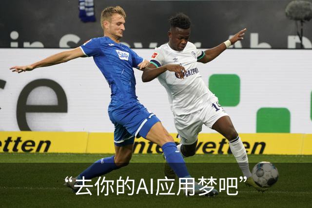 “去你的AI应用梦吧”