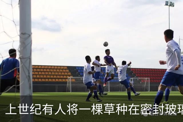 上世纪有人将一棵草种在密封玻璃瓶中，54年过去了，植物还在生长