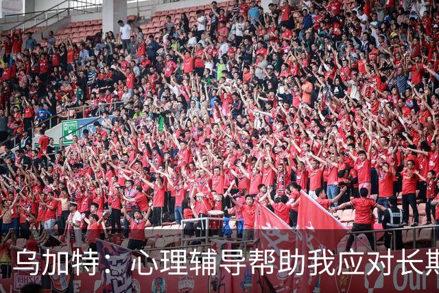 乌加特：心理辅导帮助我应对长期伤停