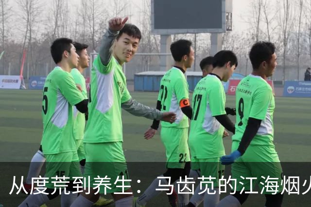 从度荒到养生：马齿苋的江海烟火