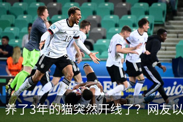 养了3年的猫突然开线了？网友以为是玩具，点开一看笑喷：快缝上