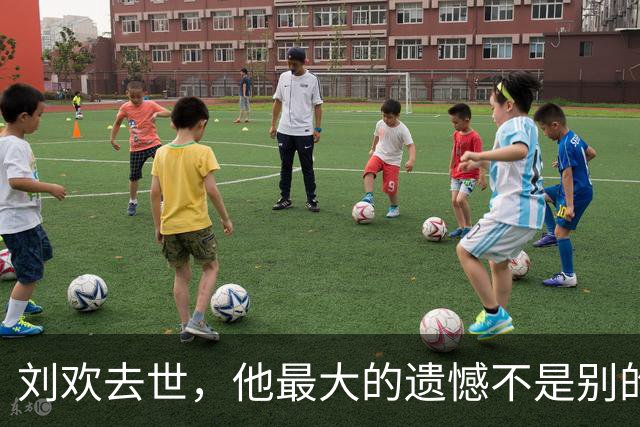 刘欢去世，他最大的遗憾不是别的，而是那个认识九天就求婚的妻子