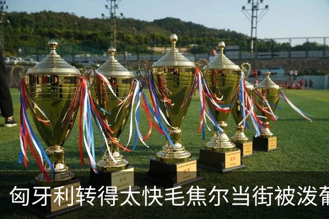 匈牙利转得太快毛焦尔当街被泼葡萄酒，矛头直指欧尔班