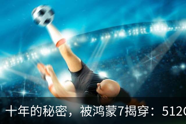 十年的秘密，被鸿蒙7揭穿：512GB，背后到底水分多深
