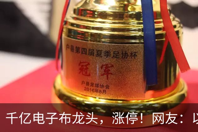 千亿电子布龙头，涨停！网友：以后只买你