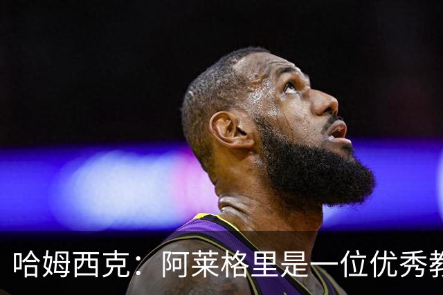 哈姆西克：阿莱格里是一位优秀教练 2027年我可能回那不勒斯任职