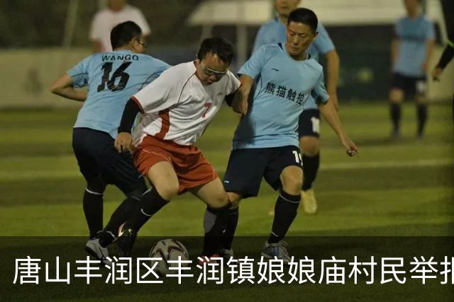 唐山丰润区丰润镇娘娘庙村民举报村支书严重违法违纪不作为