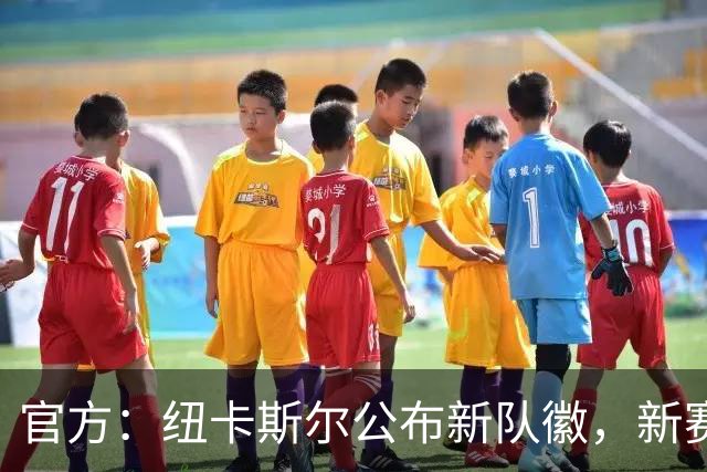 官方：纽卡斯尔公布新队徽，新赛季将出现在球衣上
