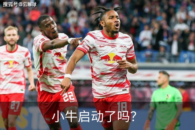 小牛启动了吗？