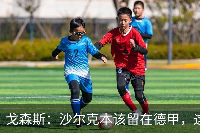戈森斯：沙尔克本该留在德甲，这趟回家的路终于圆满