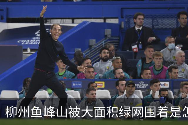 柳州鱼峰山被大面积绿网围着是怎么会是？有人说要装电梯搞缆车