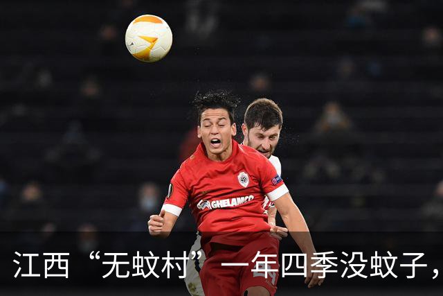 江西“无蚊村”一年四季没蚊子，是因为全村种满“驱蚊树”，超赞