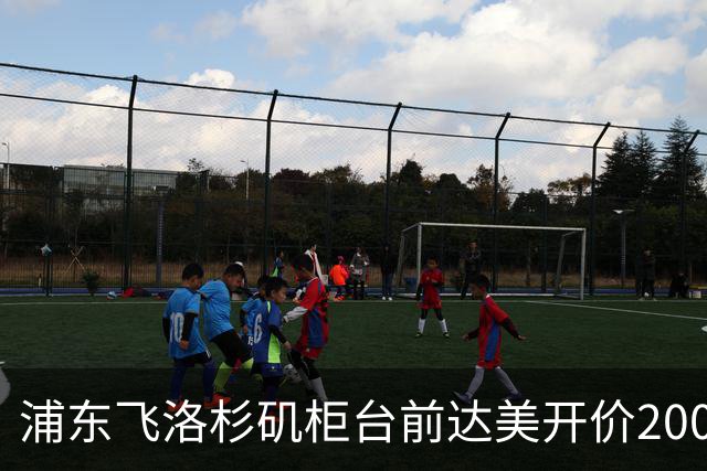 浦东飞洛杉矶柜台前达美开价2000美金求我别走