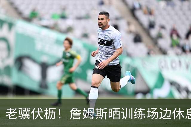 老骥伏枥！詹姆斯晒训练场边休息自拍 大汗淋漓调整呼吸