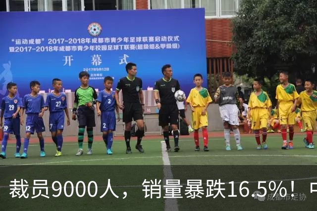 裁员9000人，销量暴跌16.5%！中年男人“梦中情车”咋卖不动了？