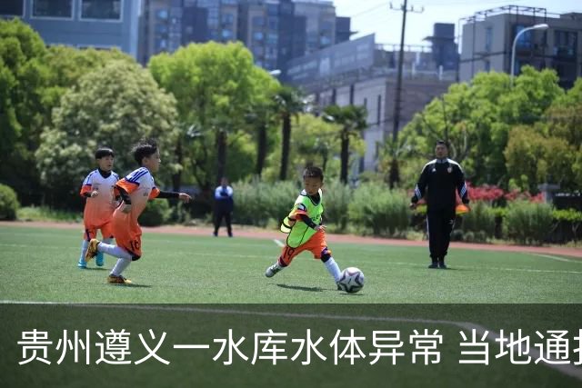贵州遵义一水库水体异常 当地通报：属实 已开展综合治理施工