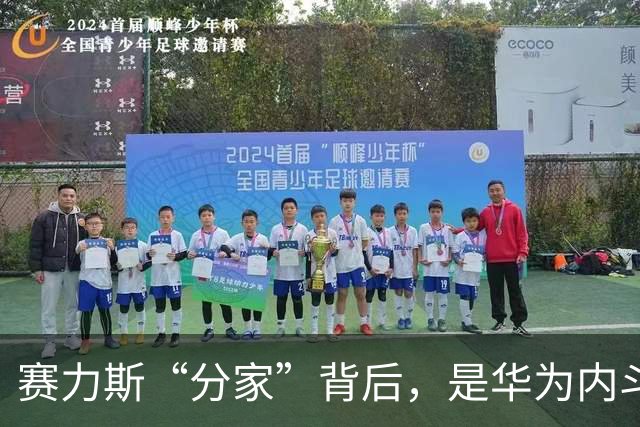 赛力斯“分家”背后，是华为内斗的极端化外溢