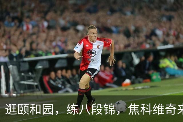 逛颐和园，练八段锦，焦科维奇来中网就像“回家”
