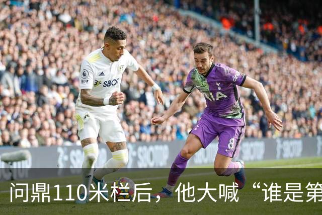 问鼎110米栏后，他大喊“谁是第一？中国！”