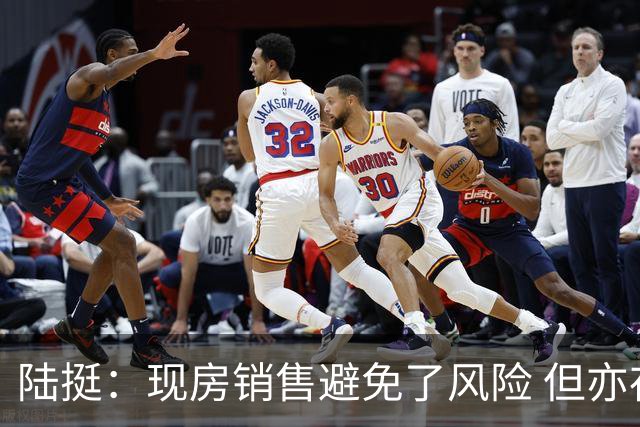 陆挺：现房销售避免了风险 但亦存在现实问题