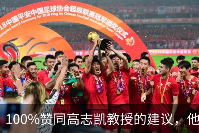 100%赞同高志凯教授的建议，他提议：大陆应该在台湾招募有志青年