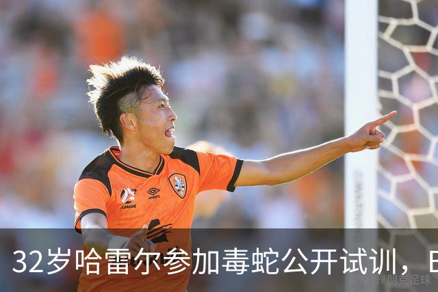 32岁哈雷尔参加毒蛇公开试训，BIG3场均30分10.4板